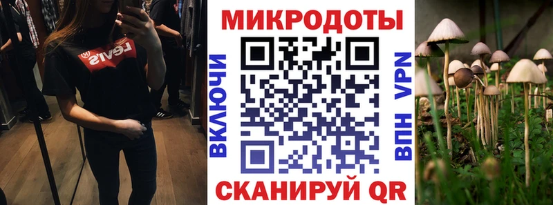 закладка Камышлов Галлюциногенные грибы ЛСД